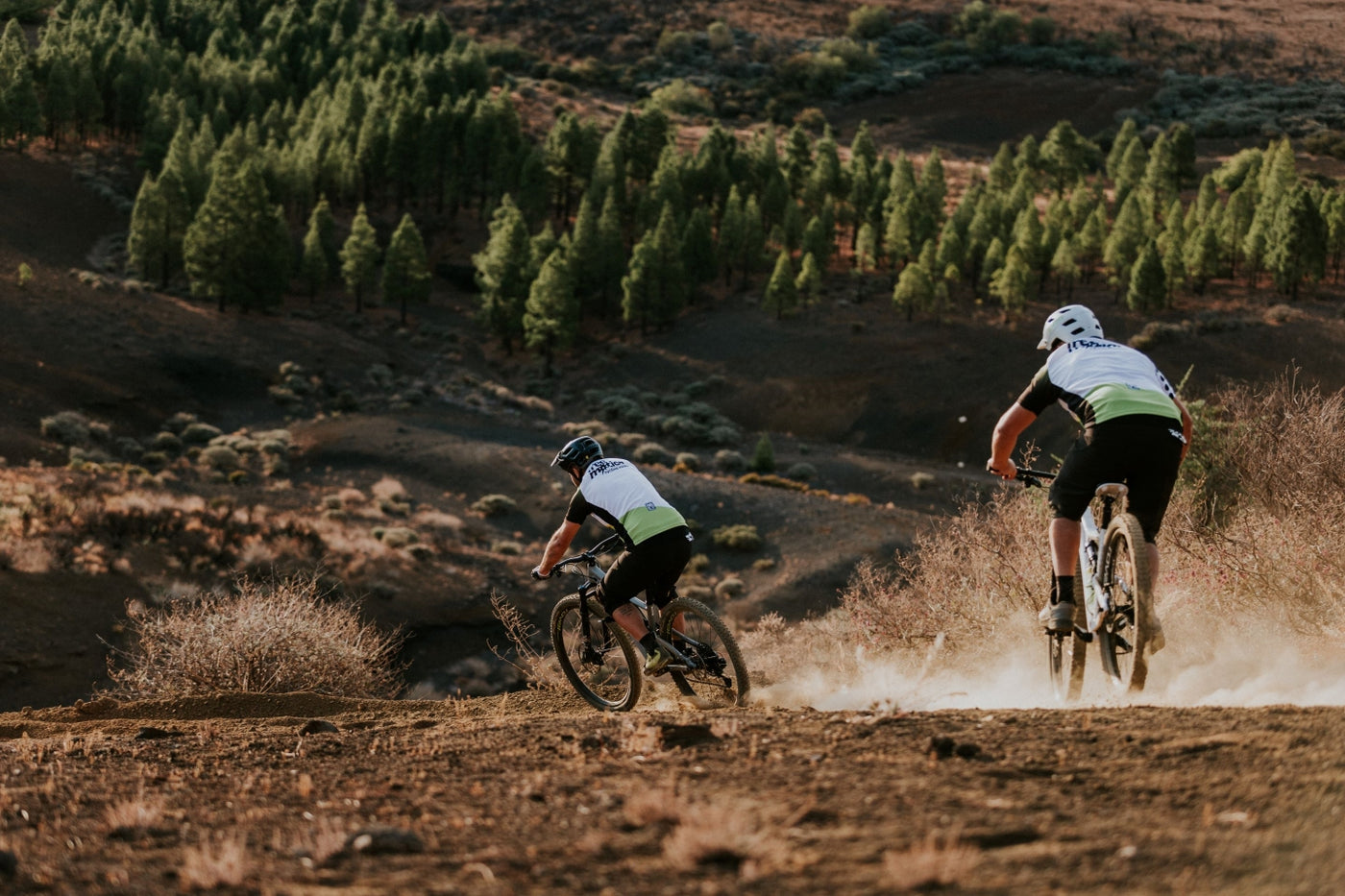 How to Choose an Electric Mountain Bike