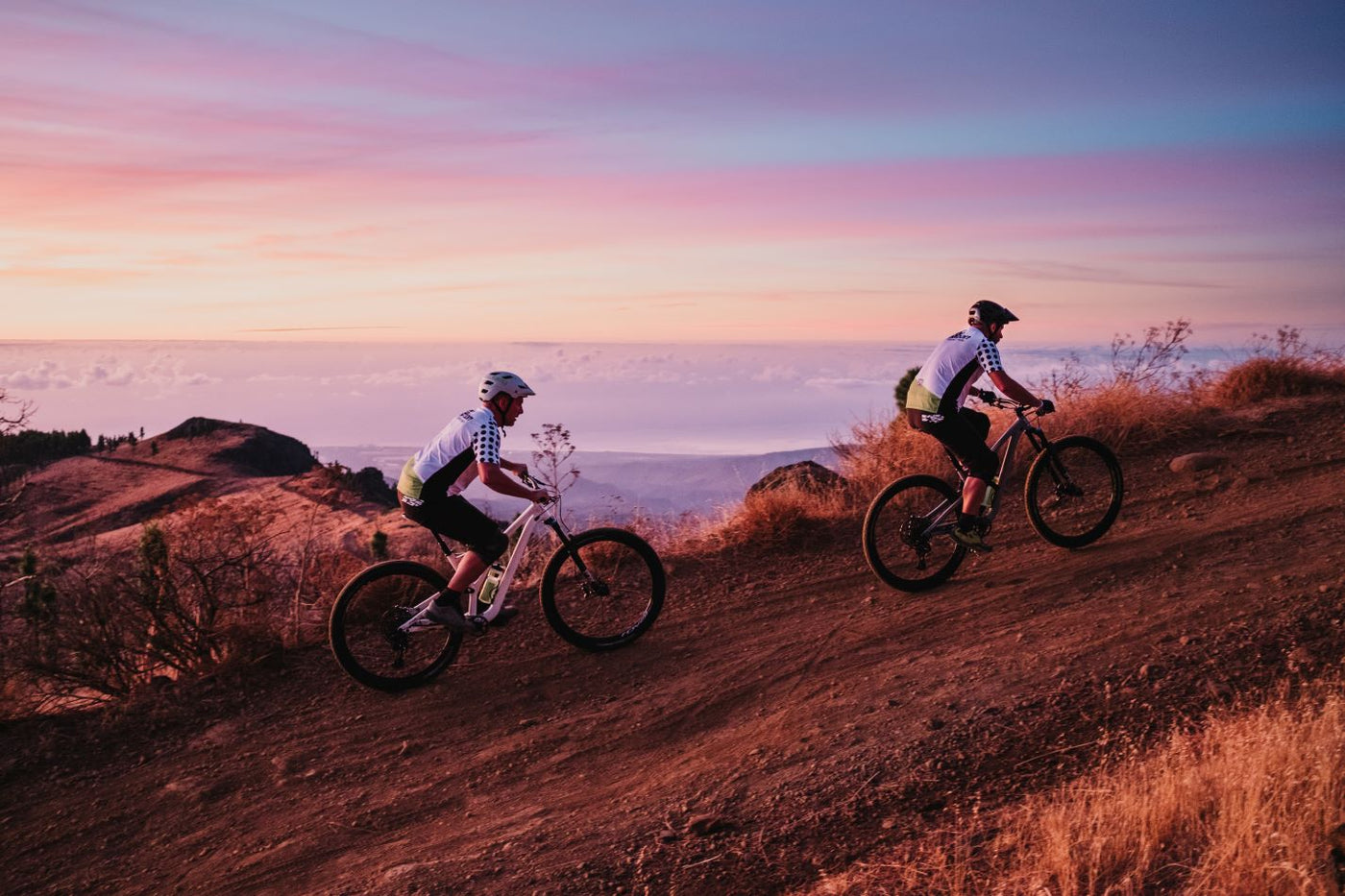 How to Choose a Mountain Bike