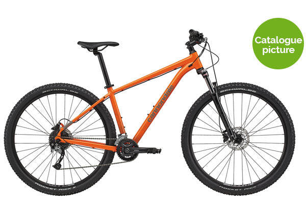 2021 Trail 6 - Naranja