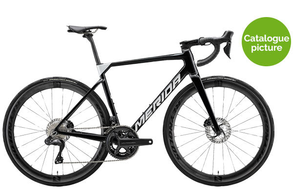 2024 Scultura 8000 Ultegra Di2