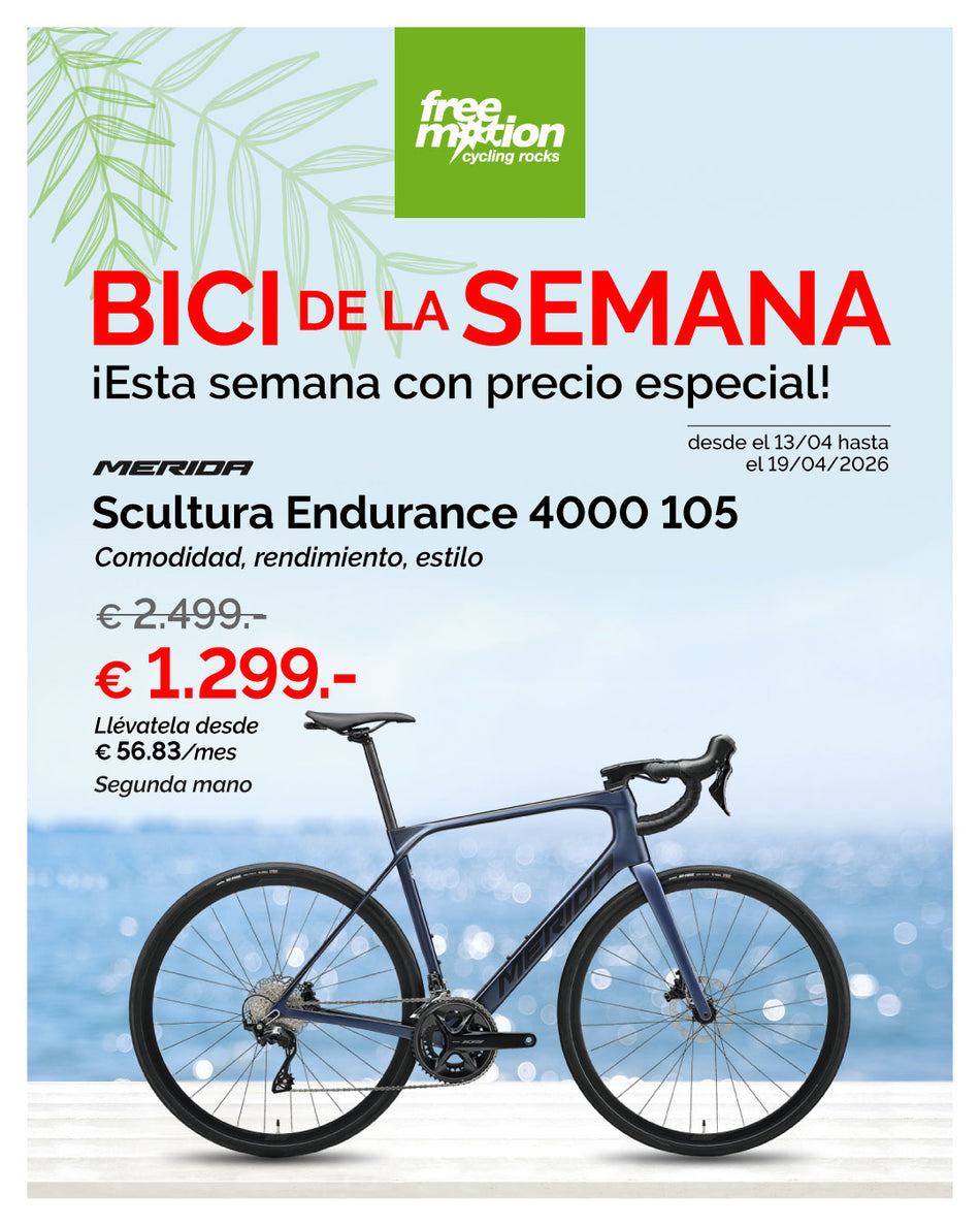 2025 Scultura Endurance 4000 105 12s