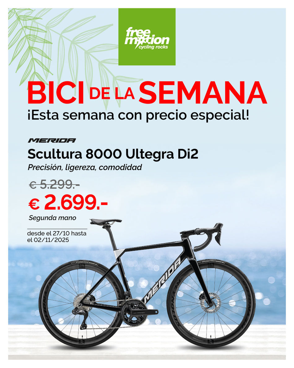 2024 Scultura 8000 Ultegra Di2