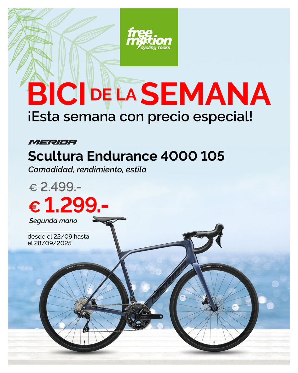 2025 Scultura Endurance 4000 105 12s